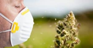 สาเหตุการเกิด